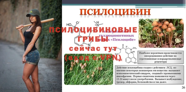 дмт Белокуриха
