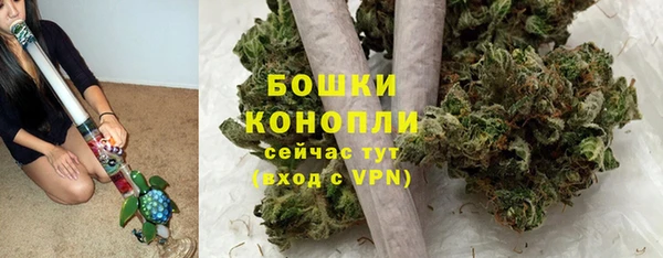дмт Белокуриха