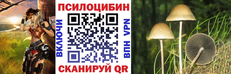 Галлюциногенные грибы мицелий  Мариинский Посад 